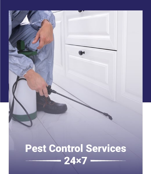 pest control perth